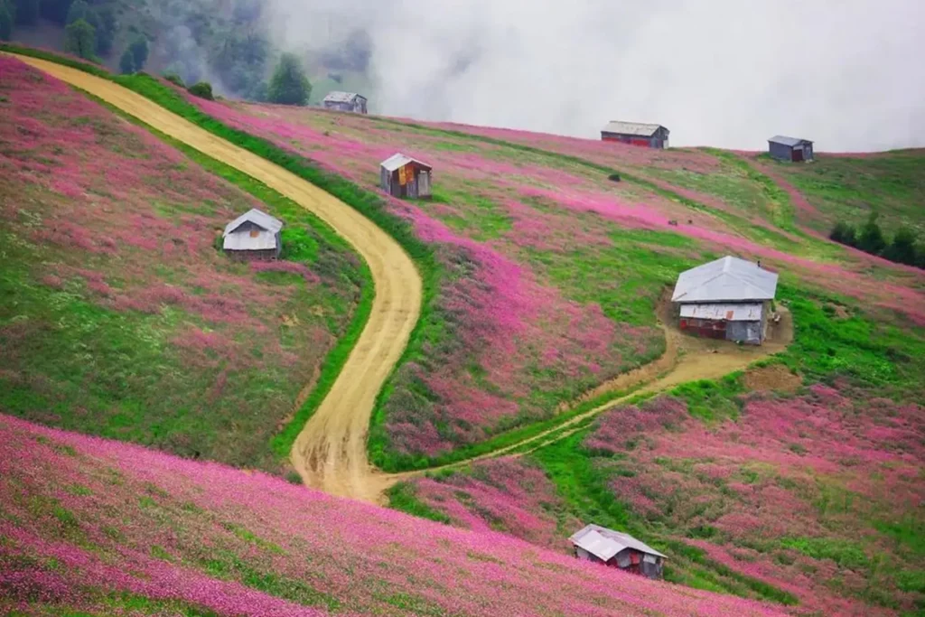 تعمیر انواع واترجت در استان گیلان
